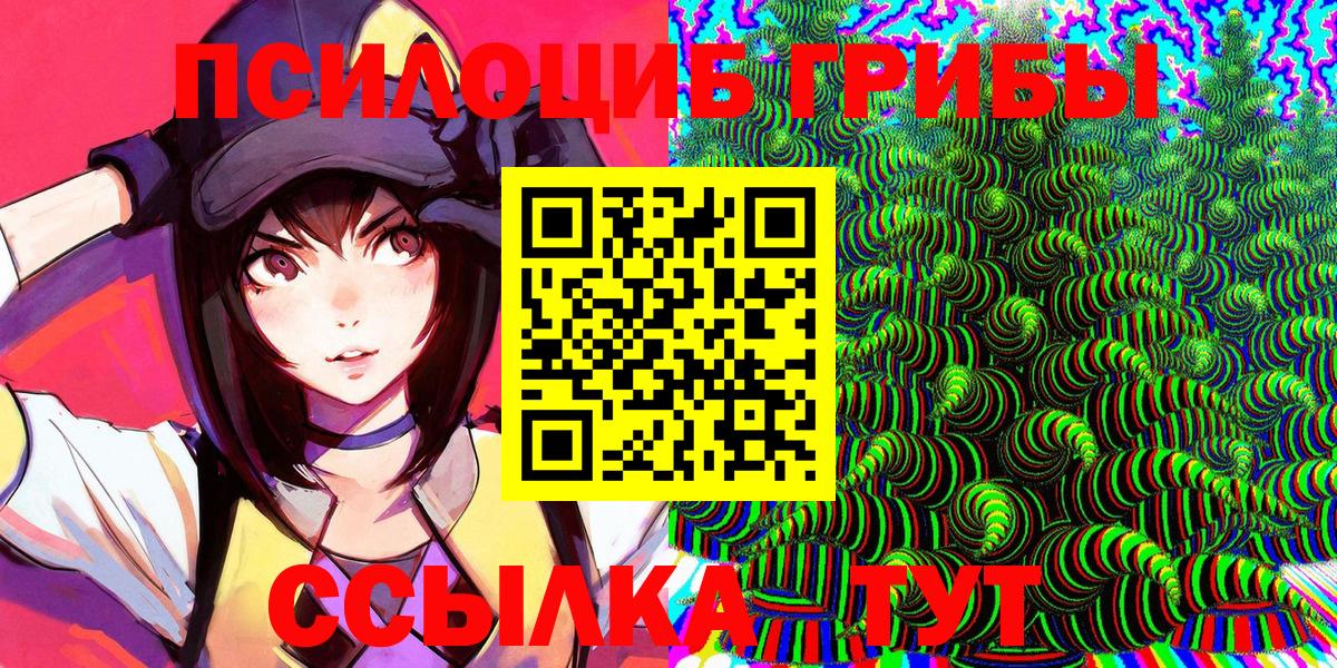 Псилоцибиновые грибы мицелий  Вход с VPN  Сертолово 