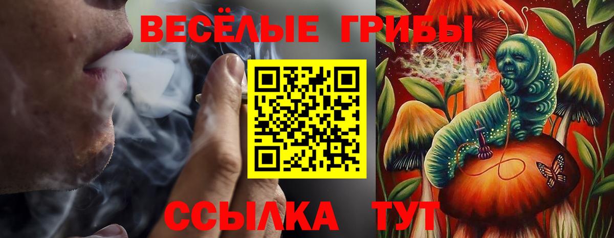 Галлюциногенные грибы мухоморы Сертолово