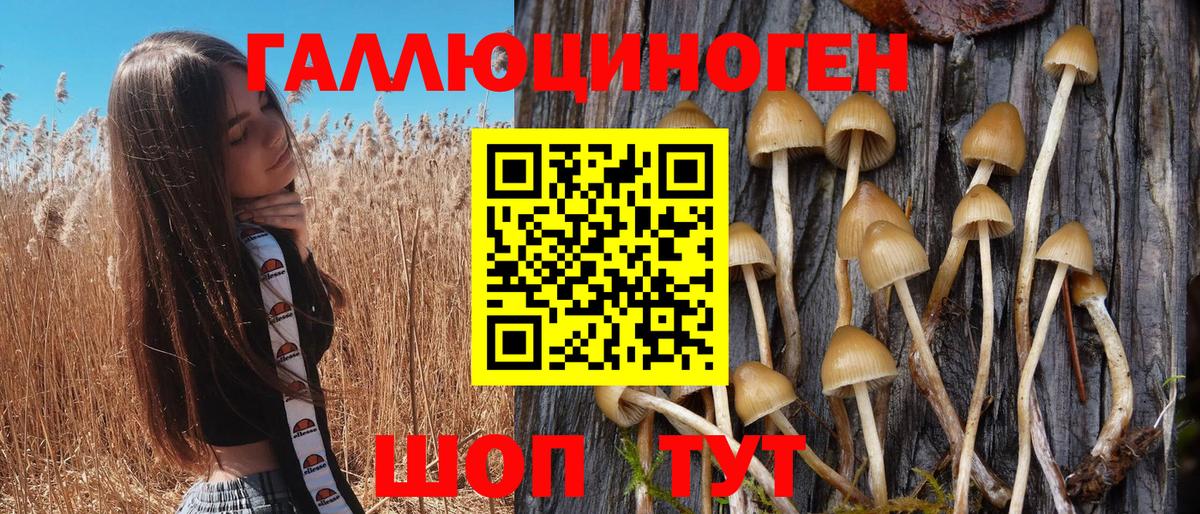 Гашиш Сертолово
